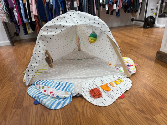 THE PLAY GYM & SENSORY STRANDS ATTACHMENT